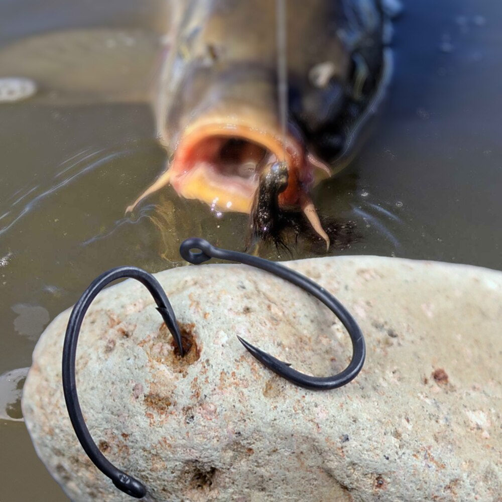 Hirisi-anzuelos de pesca de ca - Fishing Hook Assortment reseña y precio